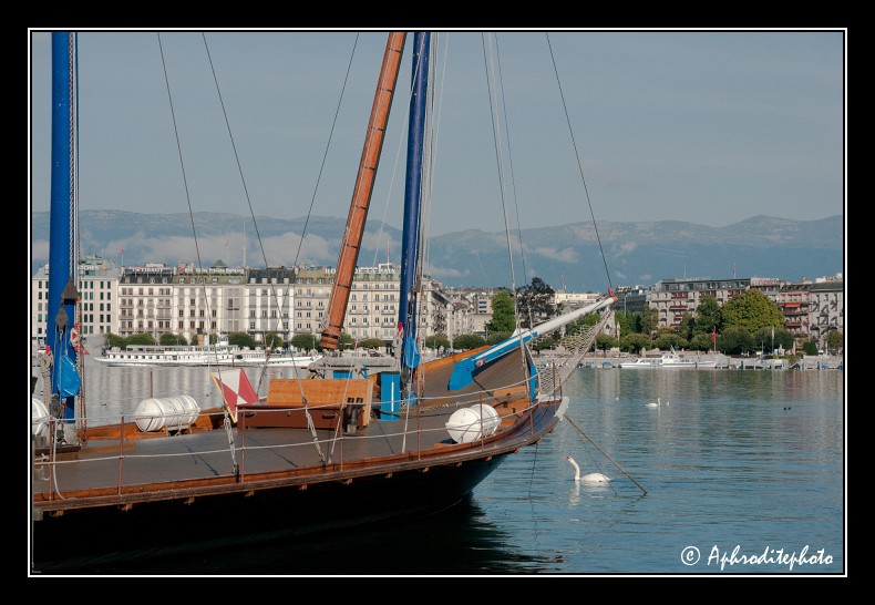073 Rade avec la barque de la Neptune avec vue sur le quai du Mt Blanc